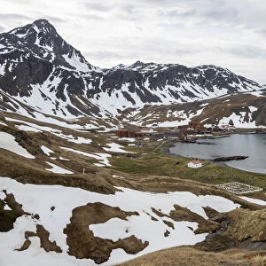 View of the abandoned Norwegian whaling station at Grytviken, in East Cumberland Bay