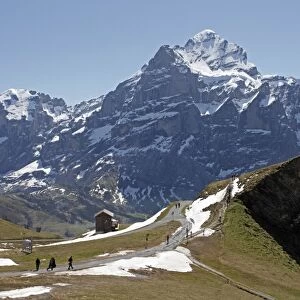 View from Grindelwald-First to Wetterhorn, Bernese Oberland, Swiss Alps