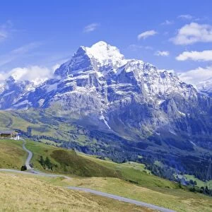 View from Grindelwald-Frist to Wetterhorn