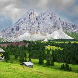 Side view of a hiker on chalet in green meadows admiring the rocky massif of Sass de Putia, Passo delle Erbe, Dolomites, Puez Odle, Bolzano district, South Tyrol, Italy, Europe