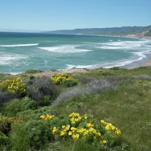 View of Jalama Beach County Park, near Lompoc, California, United States of America