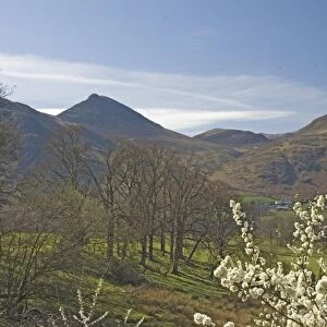 View across Newlands Valley to Causey Pike, Lake District National Park