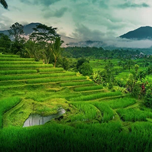 View of Sidemen Rice Terrace, Sidemen, Kabupaten Karangasem, Bali, Indonesia, South East Asia, Asia