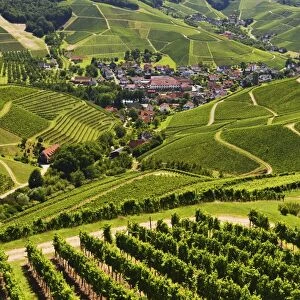 View of vineyards and Durbach village, Ortenau, Baden-Wurttemberg, Germany, Europe