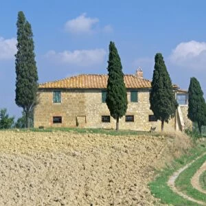 Villa with cypress trees