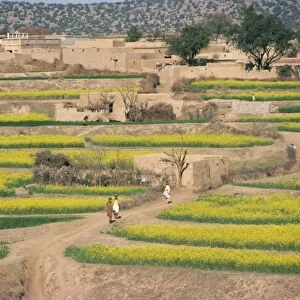 Village near Rawalpindi
