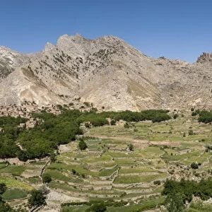 A village and terraced fields of wheat and potatoes in the Panjshir valley, Afghanistan