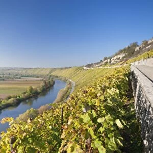 Vineyards in autumn, Mundelsheim, Neckartal Valley, Neckar River, Baden Wurttemberg, Germany, Europe