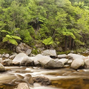 Wainui River, Wainui Falls Track, Golden Bay, Tasman, South Island, New Zealand, Pacific