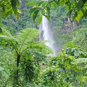 Waterfall, Guadeloupe