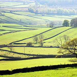 Yorkshire Jigsaw Puzzle Collection: Appletreewick