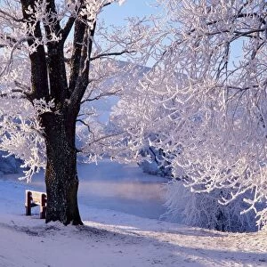 Winter scene beside the River Tay
