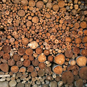 Wood pile in the Walser village of Grimentz, Valais, Swiss Alps, Switzerland, Europe