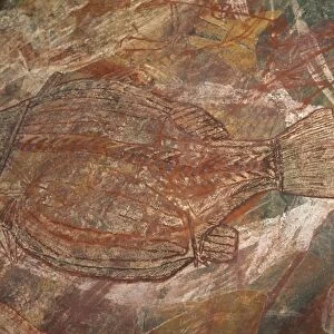 X-ray style fish at the Aboriginal rock art site at Ubirr Rock, Kakadu National Park