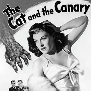 Movie Posters Cushion Collection: The Cat and the Canary