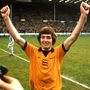 Wolverhampton Wanderers Football Club: History