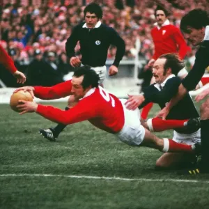 Gareth Edwards Scores Last Try for Wales Print Gareth Edwards Scores Last Try for Wales Print