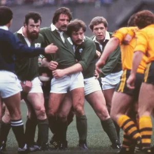 Ireland Rugby Team Print, 1981 Ireland Rugby Team Print, 1981