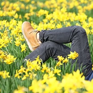 Legs amongst the Spring Daffodils in St. James Park, London