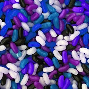 Purple and Blue Jelly Beans