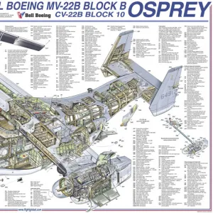 Cutaways Poster Print Collection: Military Helicopter Cutaways