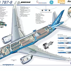 Aeroplanes Collection: Boeing 787
