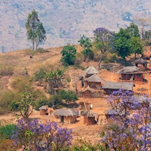 Adrica, Malawi, Lilongwe district. Typical village