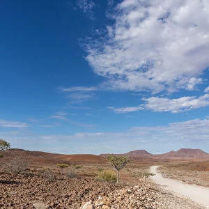 Africa, Namibia, Damaraland. A lonely road through the landscape