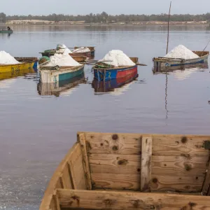 Senegal Photo Mug Collection: Lakes