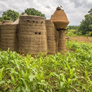 Africa, Togo, Koutammakou area. Landscape with tata somba, a traditional tribal village