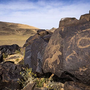 Ancient petroglyphs carving on rocks, Khavstsgait, Gobi Desert, Omnogovi, Mongolia