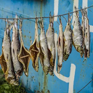 Armenia, Lake Sevan, Sevan, fish shacks selling smoked fish