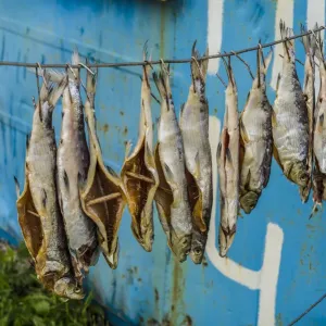 Armenia Print: Smoked Fish at Sevan Lake Shacks Armenia Print: Smoked Fish at Sevan Lake Shacks