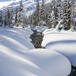 Asulkan valley after a winter snowfall. Roger pass, British Columbia, Canada