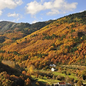 Autumn in the valley of Zezere river. Serra da Estrela Nature Park, Portugal