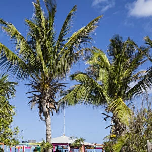 Bahamas, Abaco Islands, Great Guana Cay, Nippers Bar