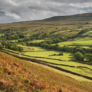 Beautiful rolling countryside in Swaledale, Yorkshire Dales National Park