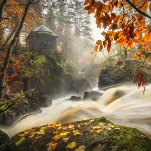 Black Lin Falls in autumn, The Hermitage, Dunkeld, Perthshire, Scotland, UK