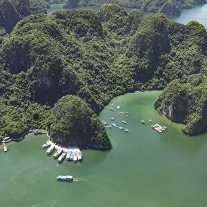 Boats anhored in a sheltered bay at Halong Bay, Quang Ninh Province, North-East Vietnam