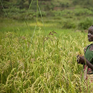 Burundi. A girl stands in a sorghum field in rural Burundi