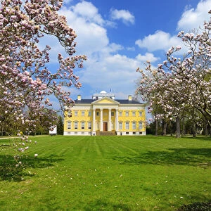 Castle Woerlitzer Park with blooming Magnolia trees, Dessau-Woerlitzer Gartenreich, Unesco World Heritage, Saxony-Anhalt, Germany