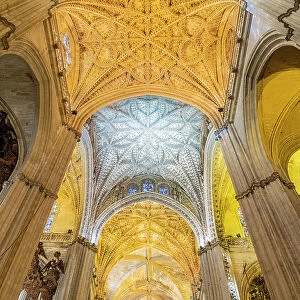 Ceiling, Seville cathedral, Seville, Andalusia, Spain