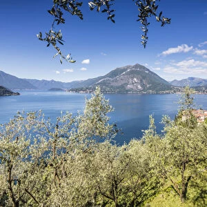 Cherry trees around the village of Varenna surrounded by the blue water of Lake Como
