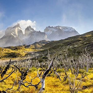 Chile, Patagonia, Magallanes and the Chilean region of Antarctica, Ultima Esperanza