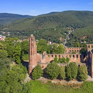 Cloister ruin Limburg near Bad Durkheim, Palatinate wine road, Rhineland-Palatinate, Germany