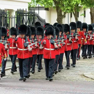 Coldstream Guards Print, Trooping the Colour Coldstream Guards Print, Trooping the Colour