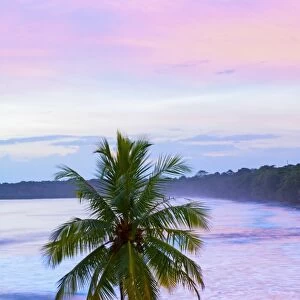Costa Rica, Cahuita, Cahuita National Park, Lowland Tropical Rainforest, Caribbean Coast