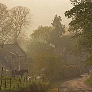 Cottages in the village of Chillingham on a misty Spring morning, Northumberland, England
