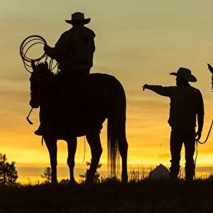 Cowboys & horses in silhouette at dawn on ranch, British Columbia, Canada