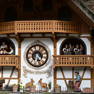 Cuckoo Clock, Black Forest (Schwarzwald), Germany